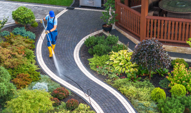 Best Pressure Washing Company Near Me  in Chetek, WI